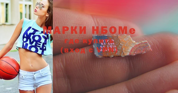 дживик Горняк