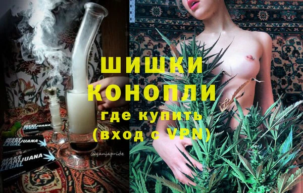 дживик Горняк
