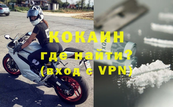 дживик Горняк