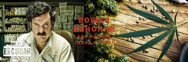 дживик Горняк