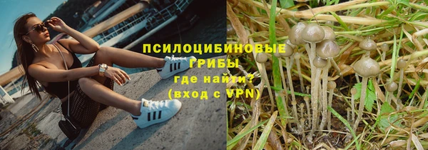 не бодяженный Тутаев