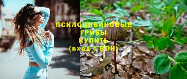 не бодяженный Тутаев