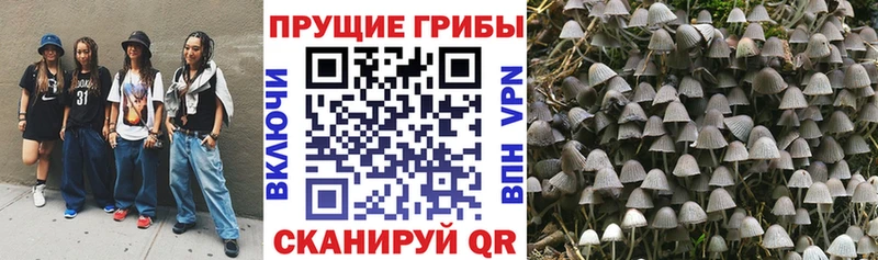 Галлюциногенные грибы прущие грибы Меленки